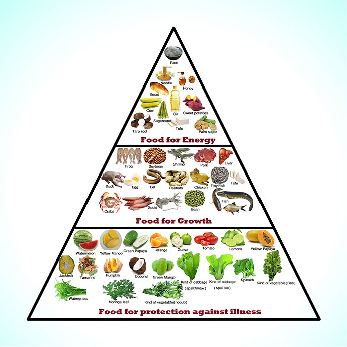 Graphic of the food pyramid - grouping food for protection against illness,  food for growth, and food for energy.